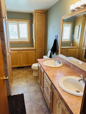Hair dryer, towels, soap, toilet paper