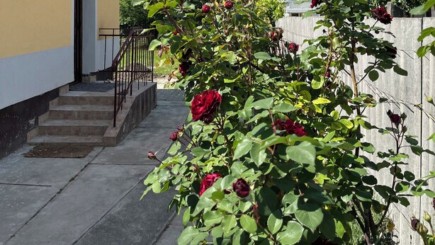 Property grounds - Hideaway House 01 with Garden and FreeParking (Budapest)