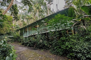 Exterior - Jungle Retreat in Kona Cloud Forest Sanctuary, An unforgettable Cloud Forest Sanctuary retreat exper... (Kailua-Kona)