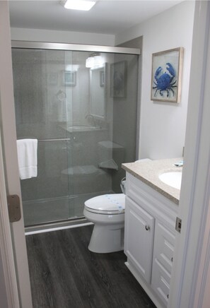 Doccia, asciugacapelli, asciugamani, sapone