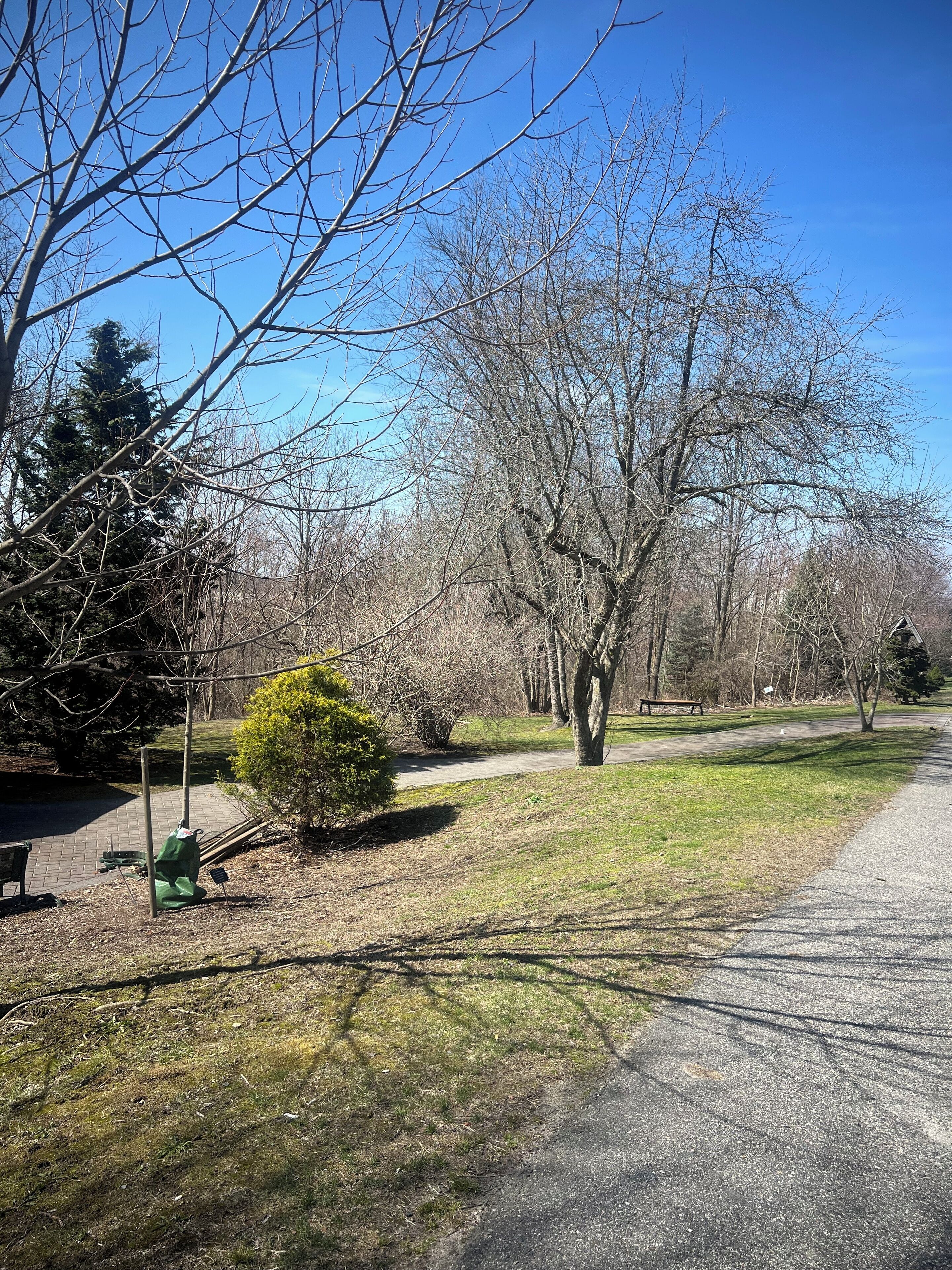 A park with a paved path, benches, and leafless trees under a clear blue sky.