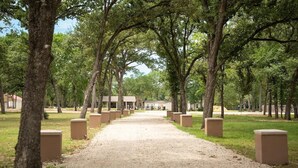 A pathway lined with trees and benches, leading to a building with a covered entrance.