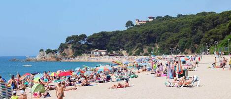 Plage à proximité