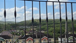 Vista a través de una reja metálica con diseño tipo sol, sobre una zona residencial con casas y vegetación.