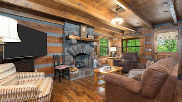 TV, fireplace, books