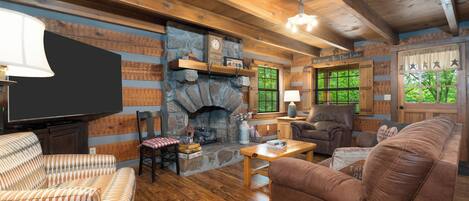 Télévision, cheminée, livres