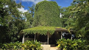 Una piscina con un porche cubierto, rodeada de abundante vegetación y un cielo azul despejado.
