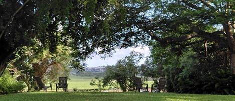Overnattingsstedets uteområder