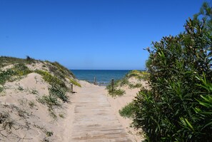 A sandy beach path leading to the ocean, surrounded by vegetation.