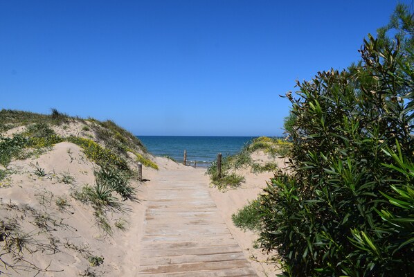 Plage à proximité