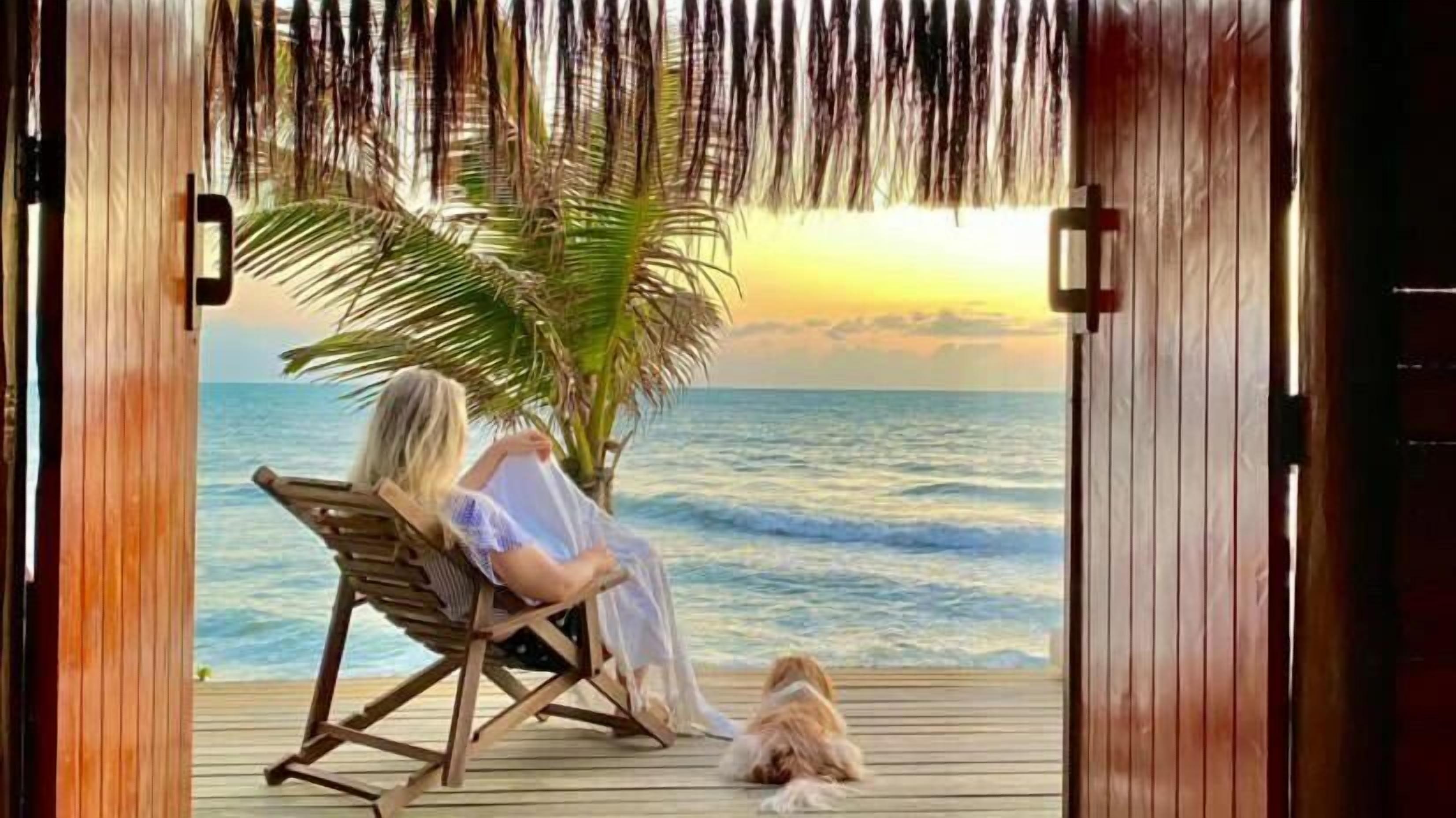 Habitación Confort | Wifi gratis 