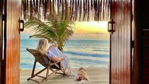Une terrasse en bois avec une personne assise sur une chaise, face à un palmier et offrant une vue sur l’océan.