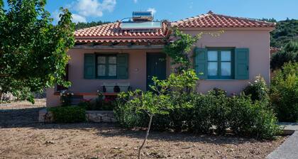 Sunny Studio Nestled Near a Refreshing Shared Pool