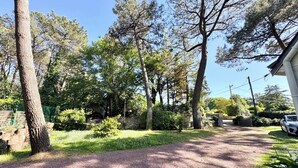 Un camino de grava que conduce a una casa rodeada de árboles y follaje.