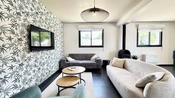 Télévision, cheminée, livres