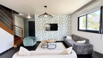 TV, fireplace, books