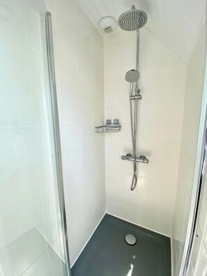 Shower, hair dryer, toilet paper