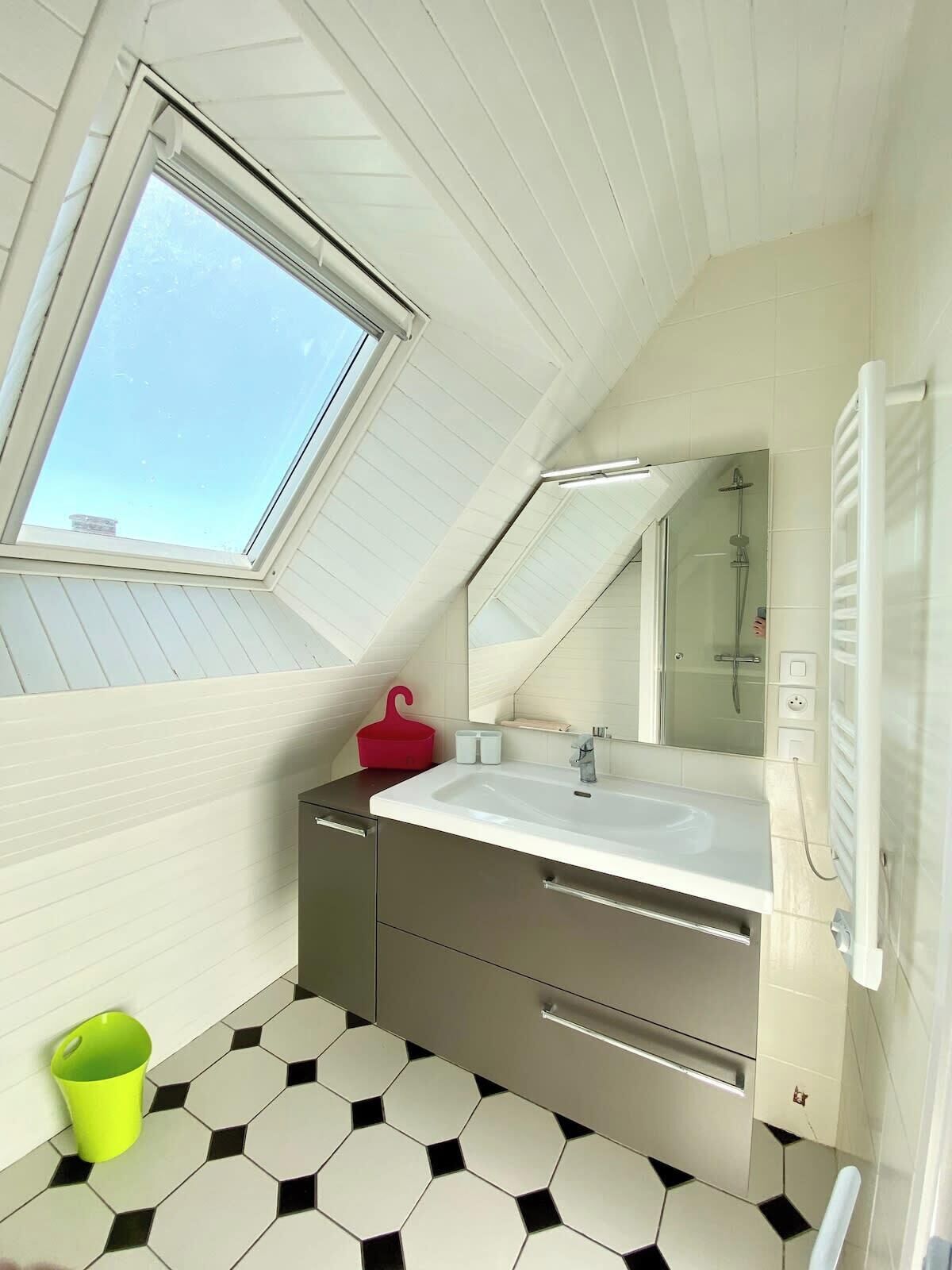 A small, modern bathroom with a skylight, a large mirror, and a shower.