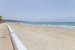 A beach with a paved walkway, palm trees, and a clear sky.