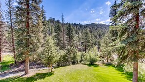 Miscellaneous - Apartment (Estes Park)