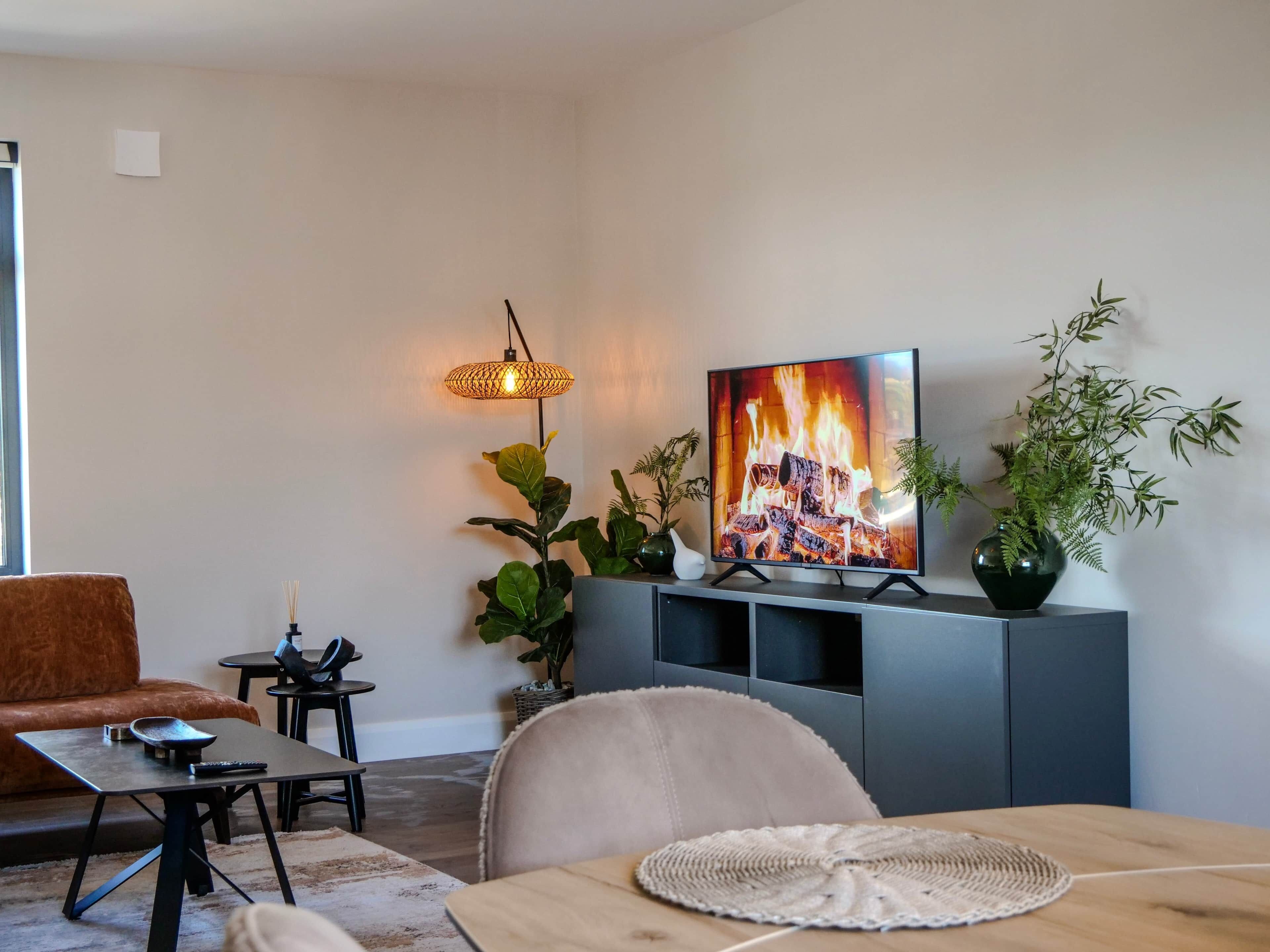 Fernseher