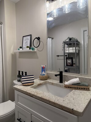Hair dryer, towels, soap, toilet paper