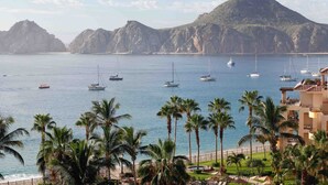 A coastal view with boats, palm trees, and a mountainous backdrop.
