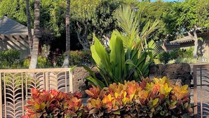 Un área ajardinada con un letrero de piedra que dice "The Palm Villas", rodeada de plantas tropicales y palmeras.