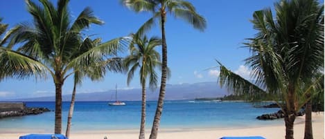 Chaises longues, serviettes de plage