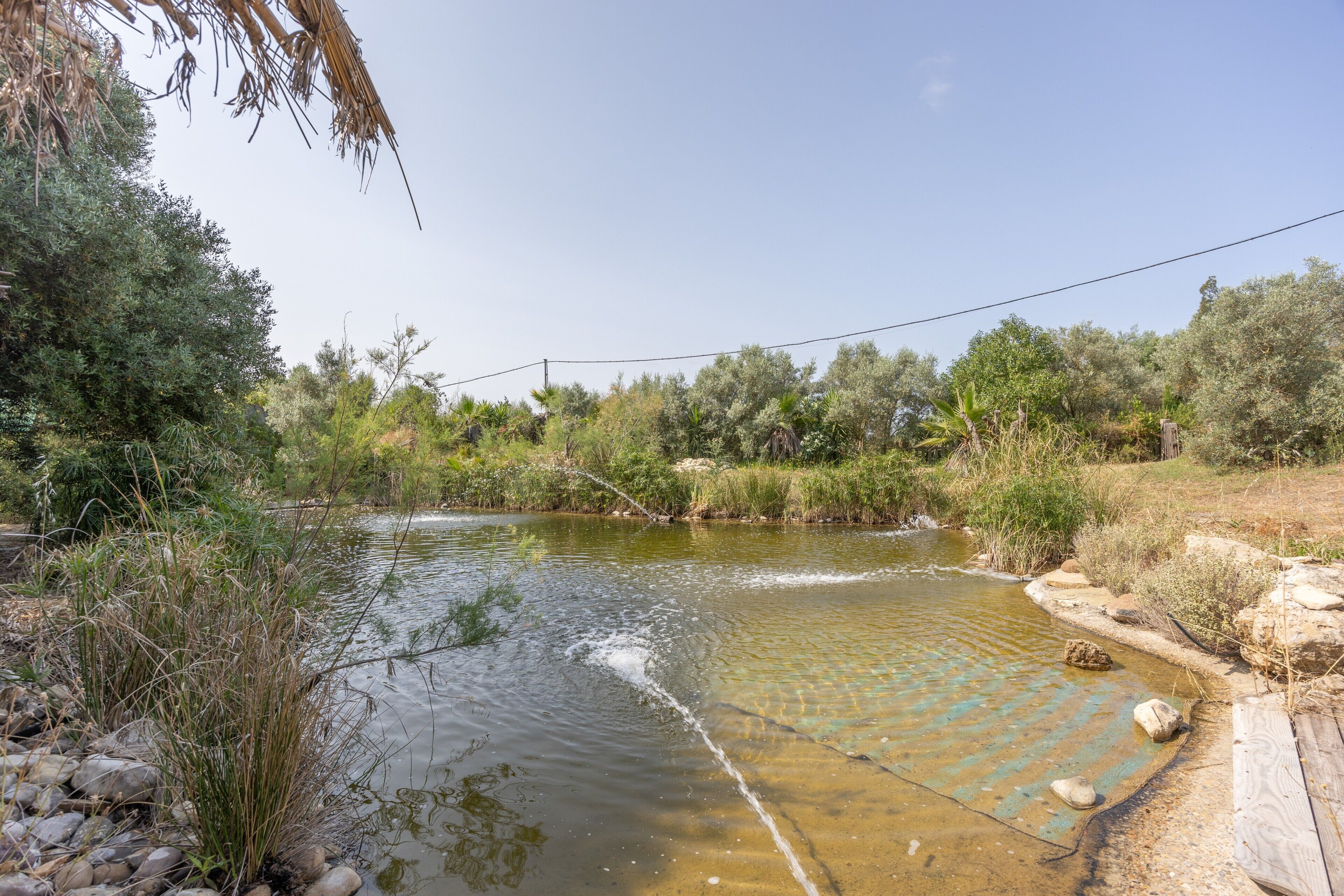 A natural outdoor setting with a clear water body, surrounded by vegetation and a wooden structure.