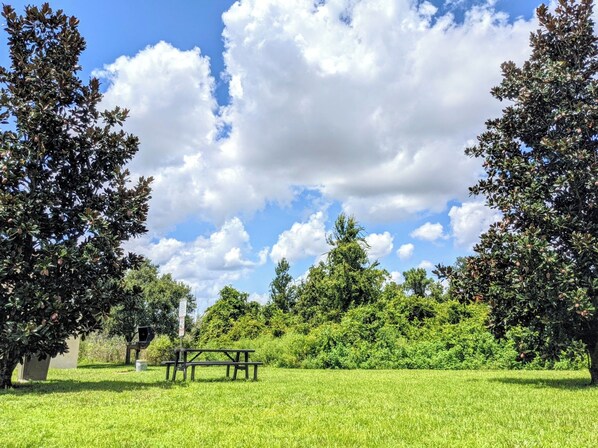 A park with picnic tables and lush greenery.