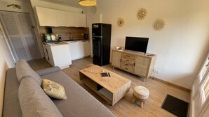 TV - DEUX PIECES CABINE ENTIEREMENT RENOVE (BORMES LES MIMOSAS)