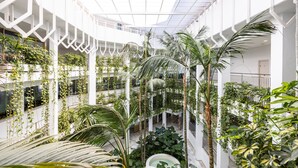A multi-level atrium with white structural columns, lush greenery, and a central water feature.