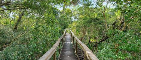 Condo, Multiple Beds (Oceanwalk 7-502) | Property grounds