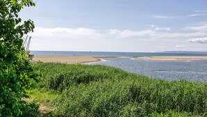 Un paisaje costero con playa, agua y vegetación.