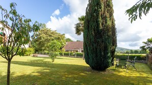 Un jardin bien entretenu, avec un grand arbre, une pelouse et une maison en arrière-plan.