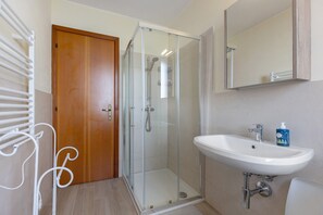 Shower, hair dryer, towels