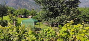 Ländliche Landschaft mit einem grünen Zelt, Bäumen und einem Haus im Hintergrund.