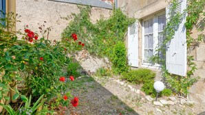 Un jardin avec des fleurs rouges, un mur de pierre et un bâtiment aux volets blancs.