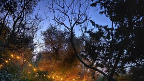 A garden path with stepping stones, surrounded by greenery and string lights. - Samadhi Holiday Home with Mountain Views, Wi-Fi, and Air Conditioning (Toulon)