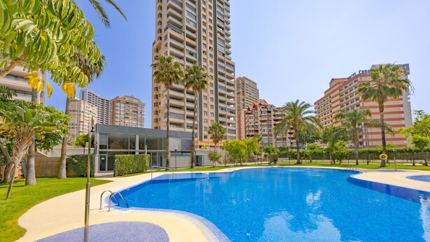 A swimming pool with a tiled deck, surrounded by palm trees and high-rise buildings.