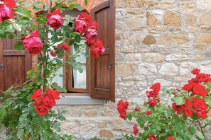 Un bâtiment en pierre avec une porte et une fenêtre en bois, entouré de roses rouges.
