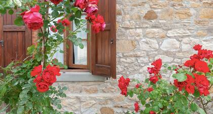 Apartment 'Cipressaia Botticelli' with Shared Pool, Private Terrace and Wi-Fi