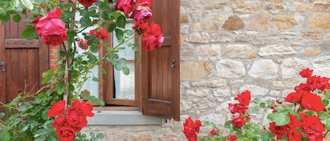 Detall de l'exterior