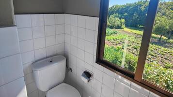 Dutxa, assecador de cabells i tovalloles