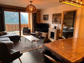 TV, fireplace, video games, DVD player