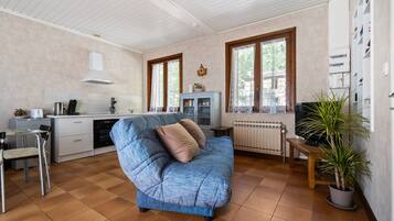 Fernseher