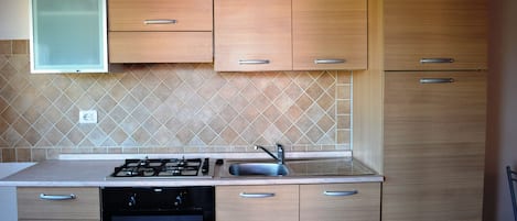 Fridge, oven, stovetop, cookware/dishes/utensils