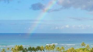 Uitzicht op een strand met een regenboog, palmbomen en een zwembad.