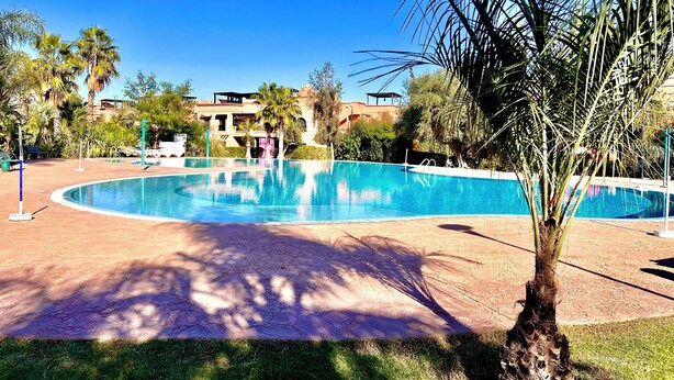 A large, clear swimming pool surrounded by palm trees and a brick walkway.